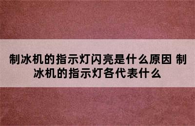 制冰机的指示灯闪亮是什么原因 制冰机的指示灯各代表什么